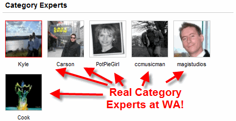 category experts